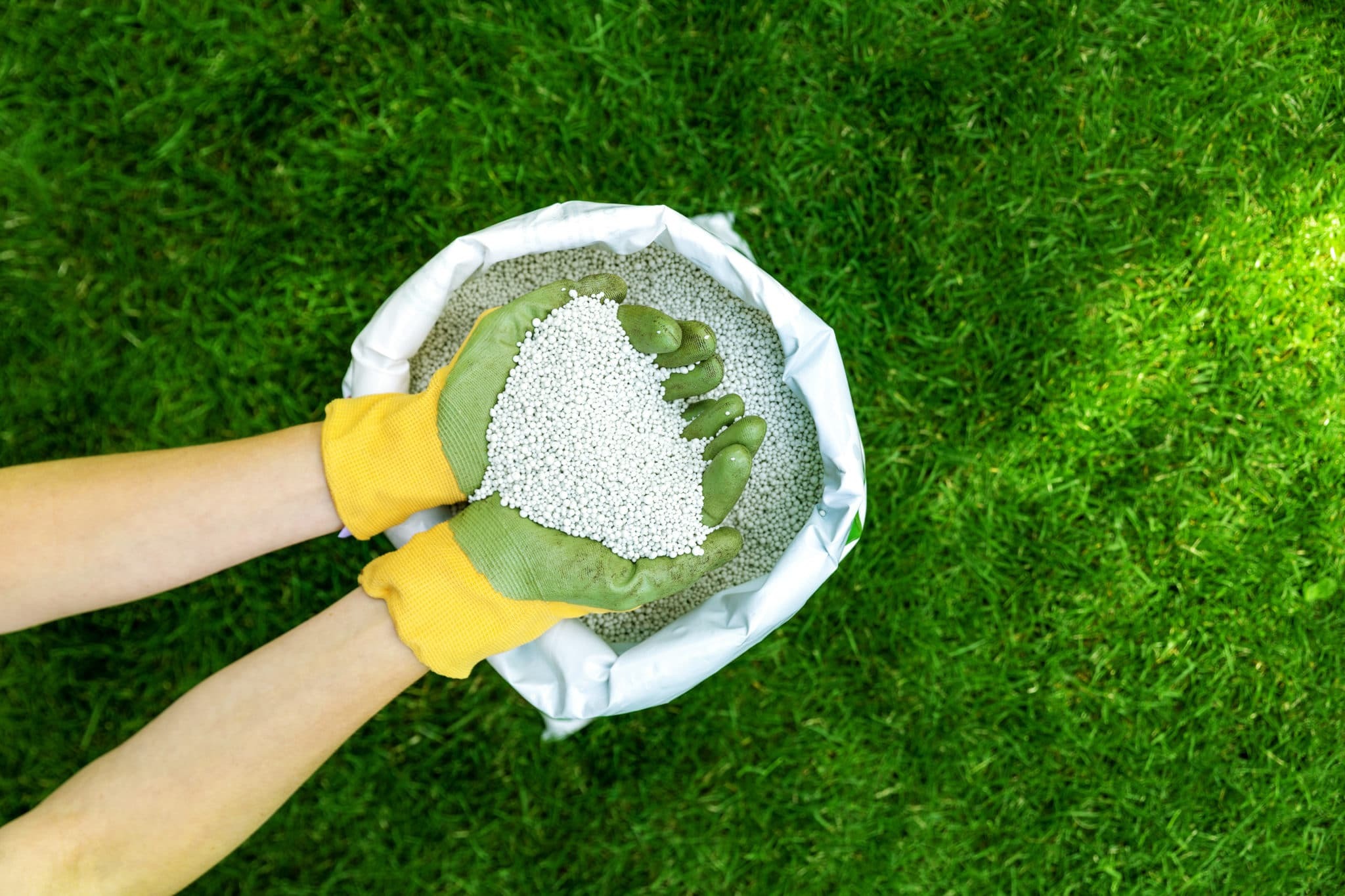 Granular Urea Fertilizer 46-0-0 25 kg (55 lb)
